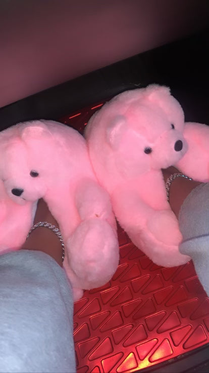 Teddy bear 🧸 slippers